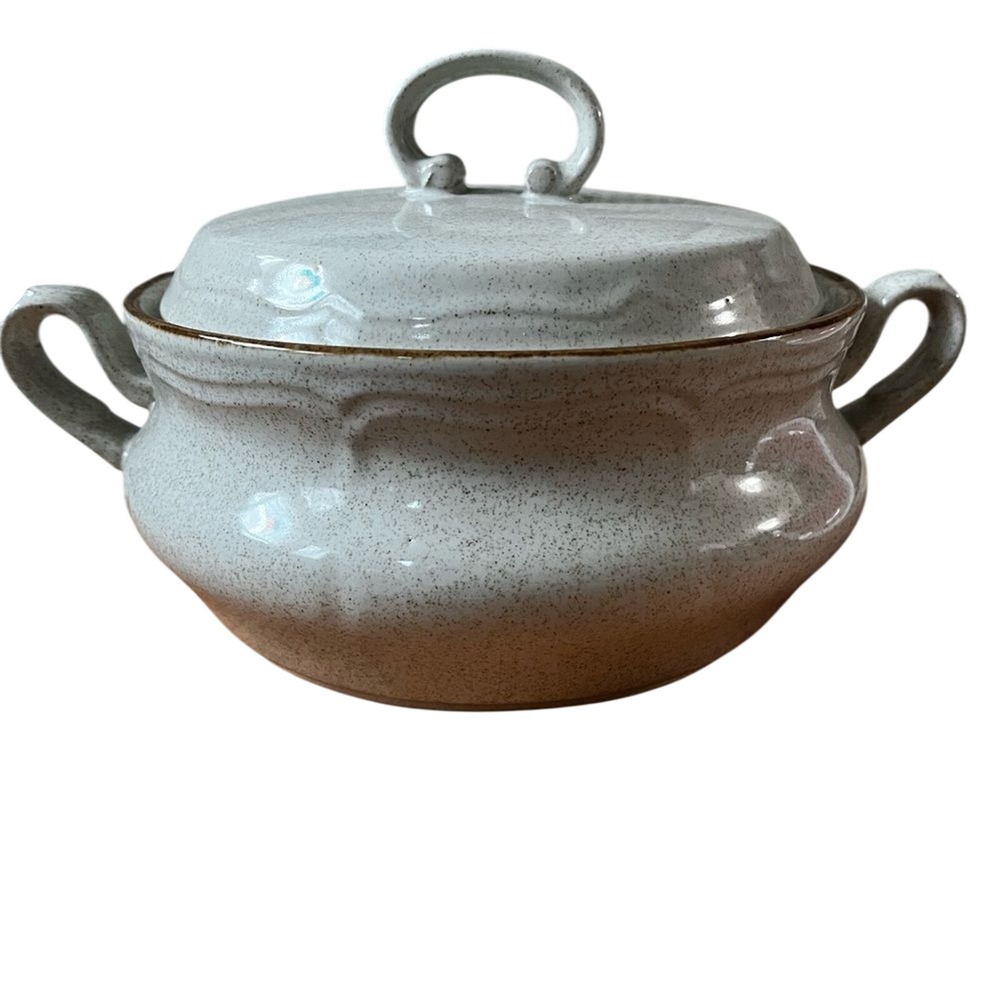 Vintage Baroque Hearthside Soup Tureen w/ Lid 2 Quart Speckled Japan 70s Retro